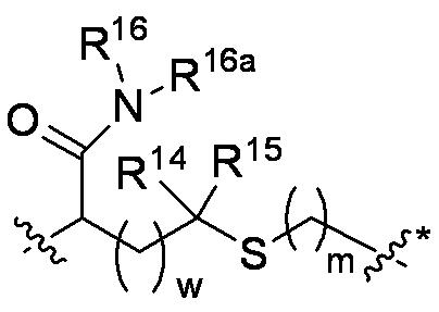 Figure 0007206222000054