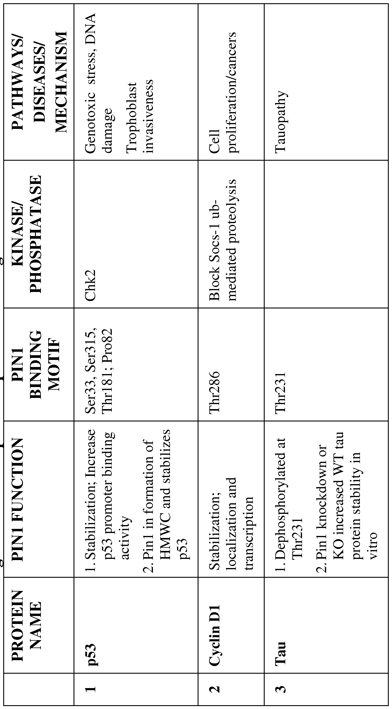 Figure imgf000016_0001