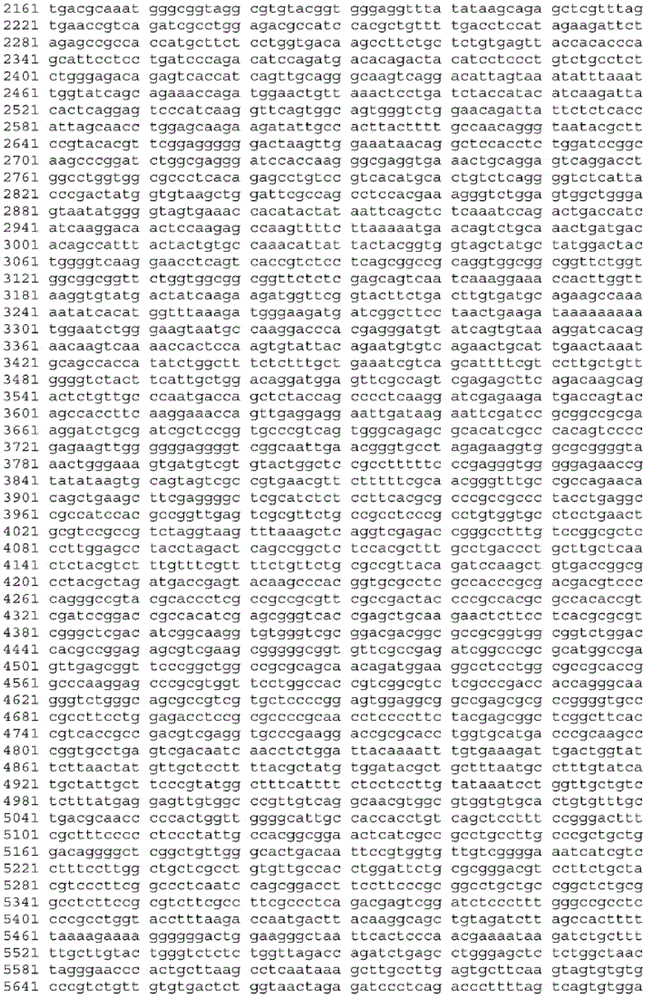 Figure BDA0003465582640001331