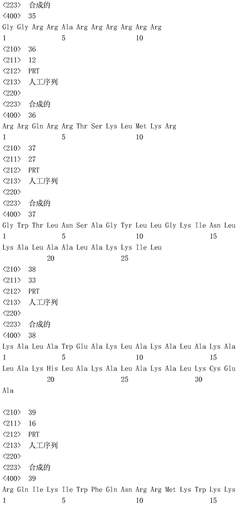 Figure IDA0002362556630000091