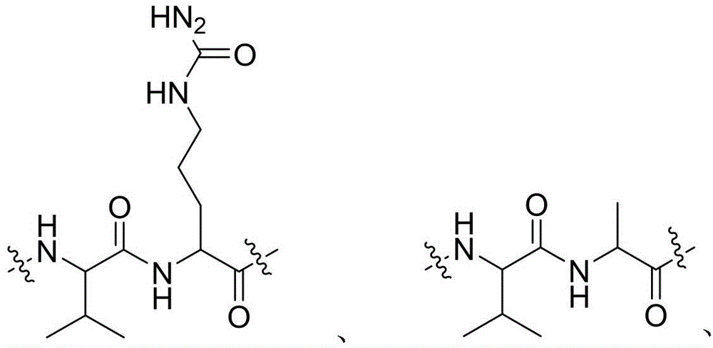 Figure BDA0003850165580000072