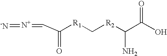 Figure US20050209666A1-20050922-C00077