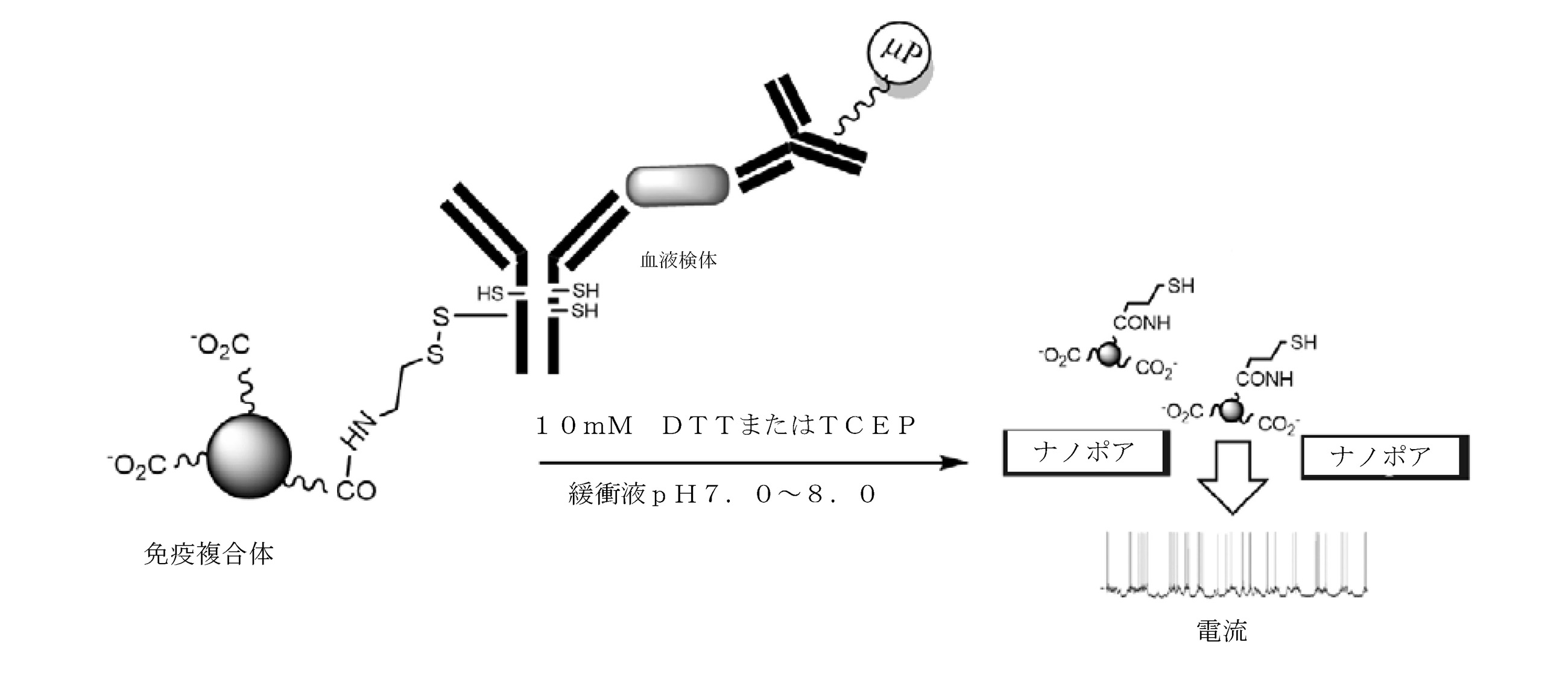 Figure 2022058772000011