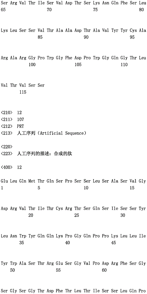 Figure IPA0000277507310000111