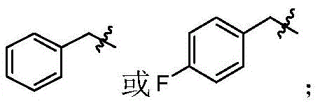 Figure FDA0002921022130000109