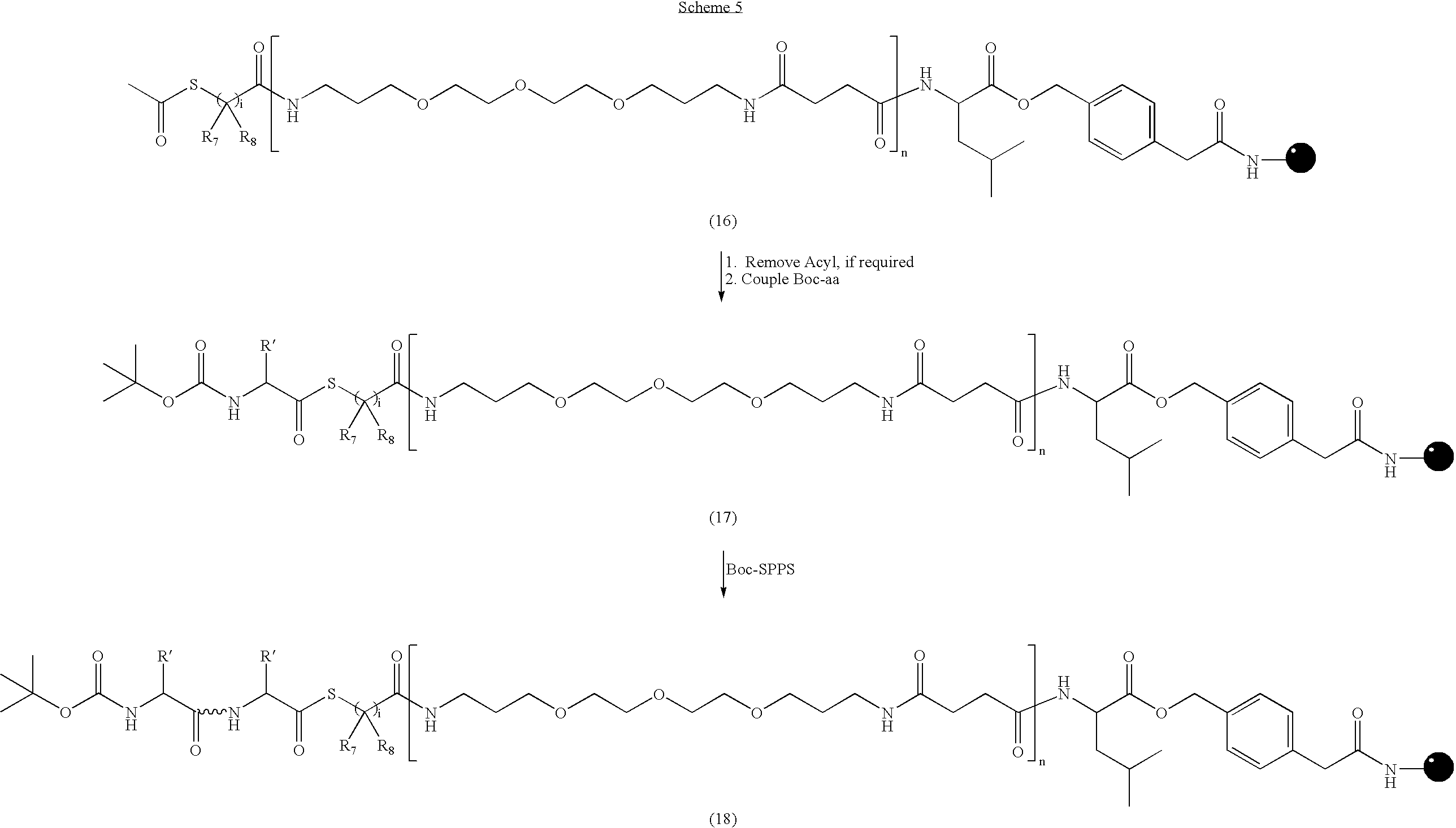 Figure US20060173159A1-20060803-C00014