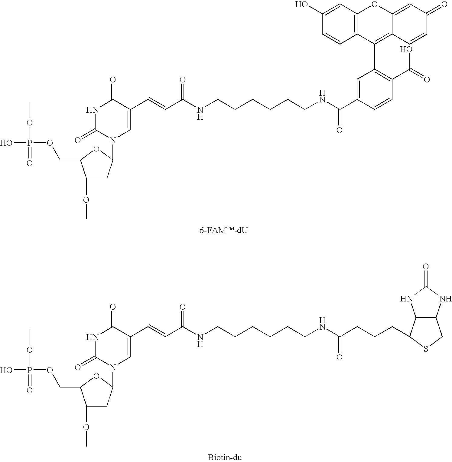 Figure US20060141523A1-20060629-C00004