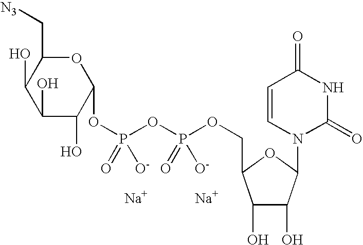 Figure US20080108557A1-20080508-C00012