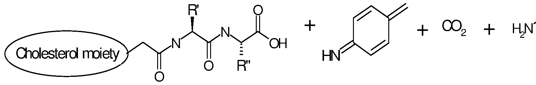 Figure imgf000010_0002