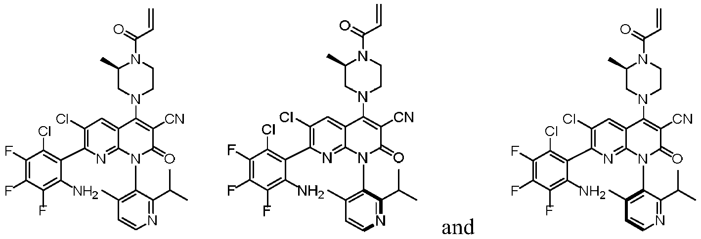 Figure PCTCN2020137497-appb-000081