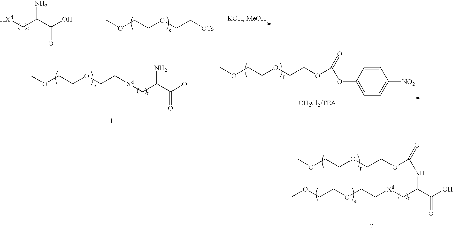 Figure US20070014759A1-20070118-C00047