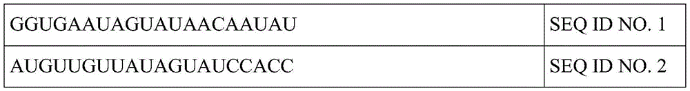 Figure BDA0003264319780000611