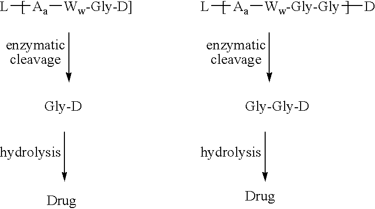 Figure US20080025989A1-20080131-C00013