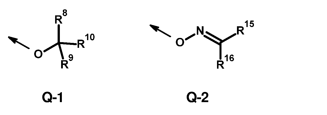 Figure imgf000004_0001