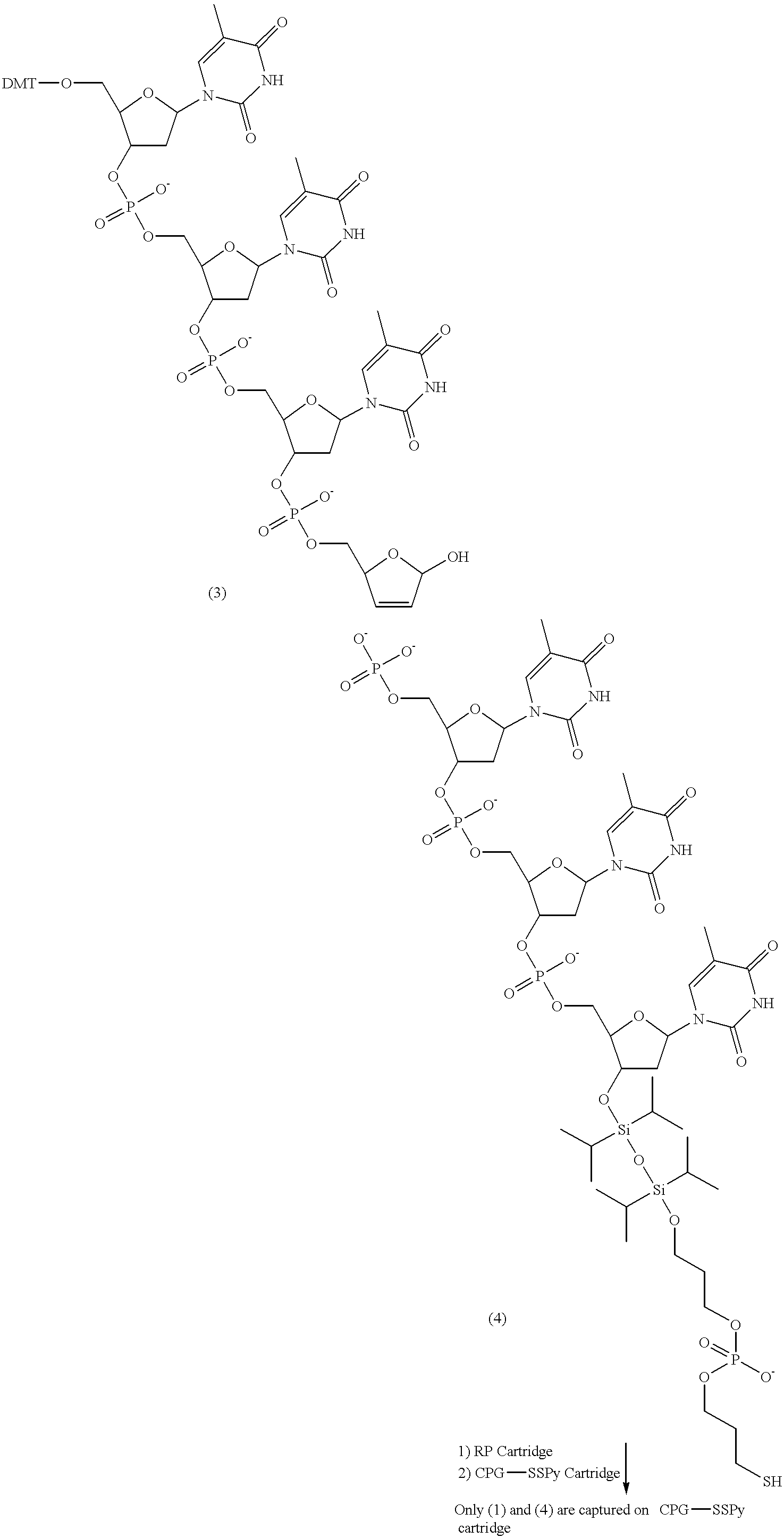 Figure US06472522-20021029-C00016