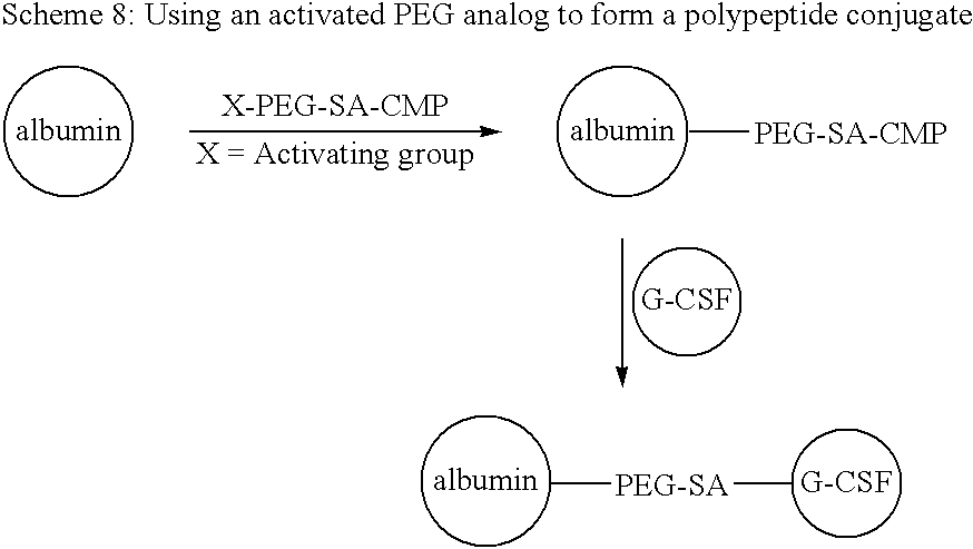 Figure US20080242607A1-20081002-C00058