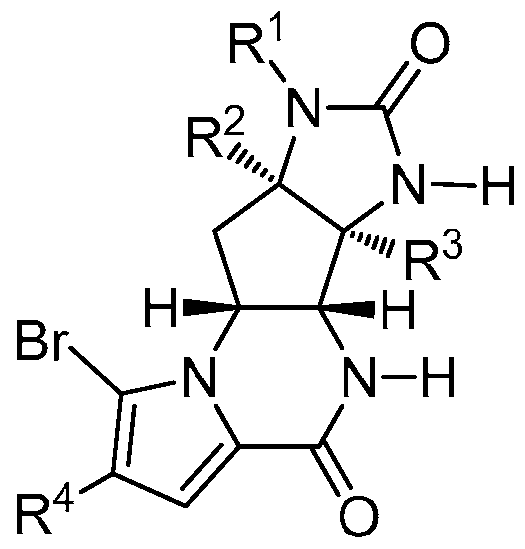 Figure imgf000004_0002