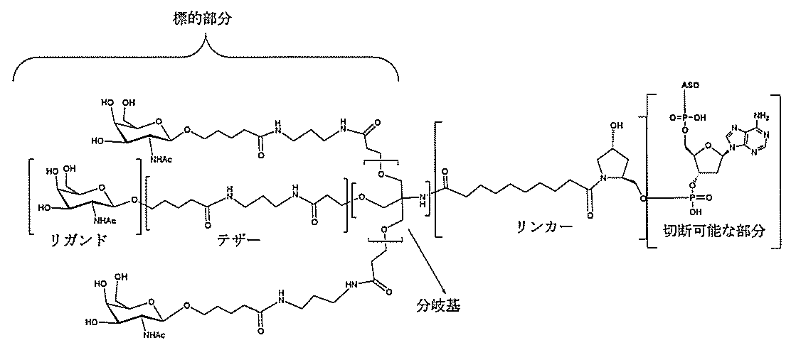 Figure 0006995478000007