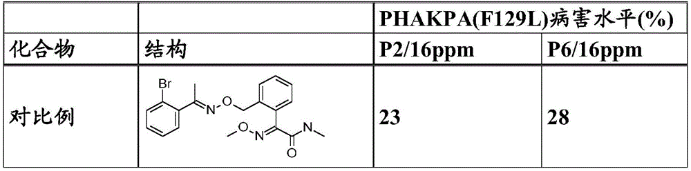 Figure BDA0003914530940001312