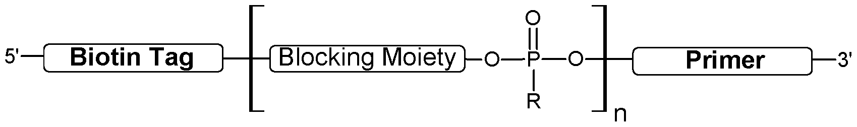 Figure imgf000024_0001