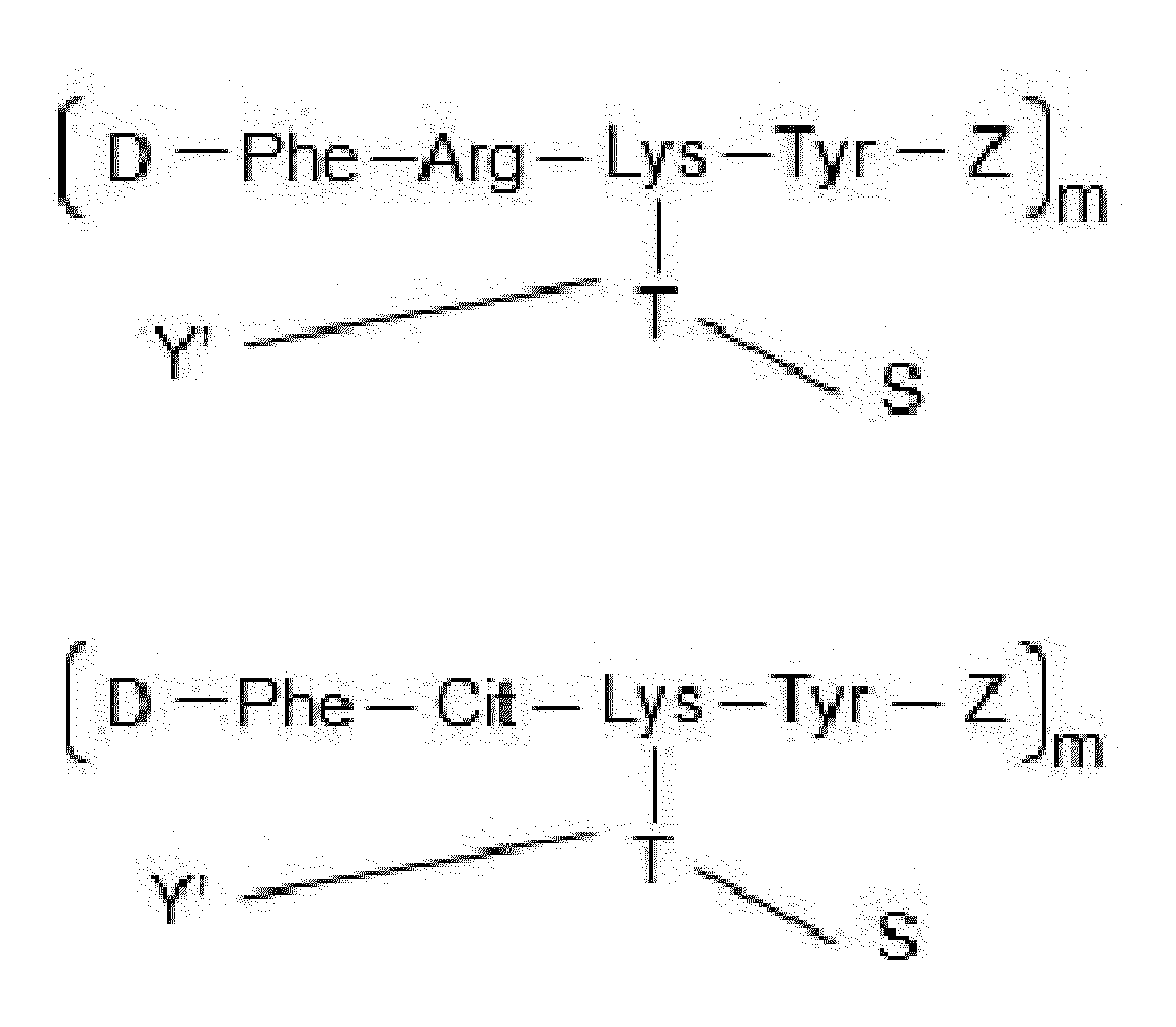 Figure PCTKR2023018574-appb-img-000094