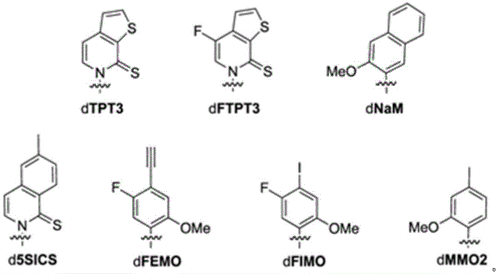 Figure BDA0002646587660000101