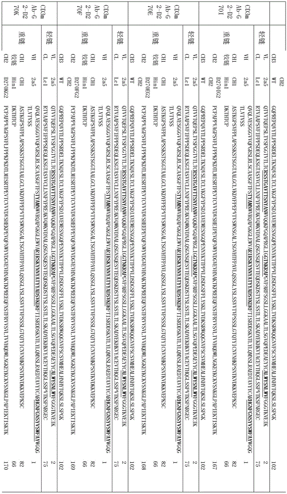 Figure BDA0002336612250001541