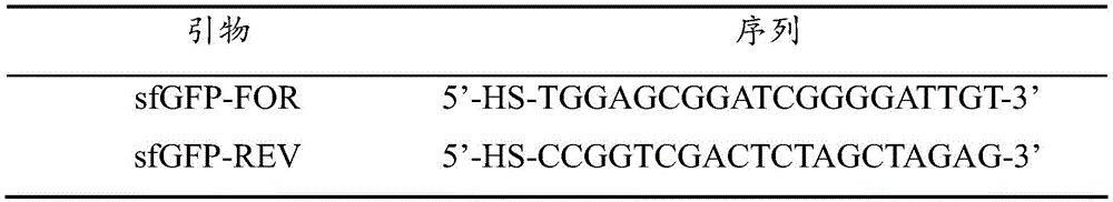Figure BDA0002345904050000161