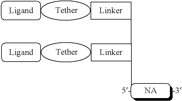 Figure US20070105803A1-20070510-C00125