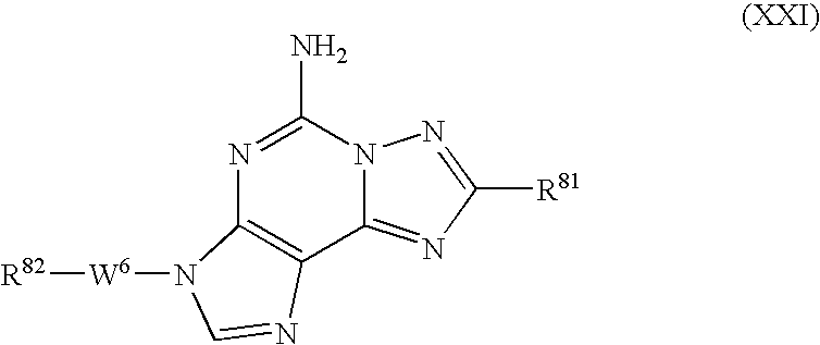 Figure US20070149555A1-20070628-C00026