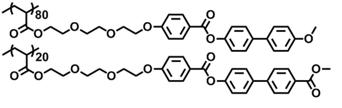 Figure JPOXMLDOC01-appb-C000063