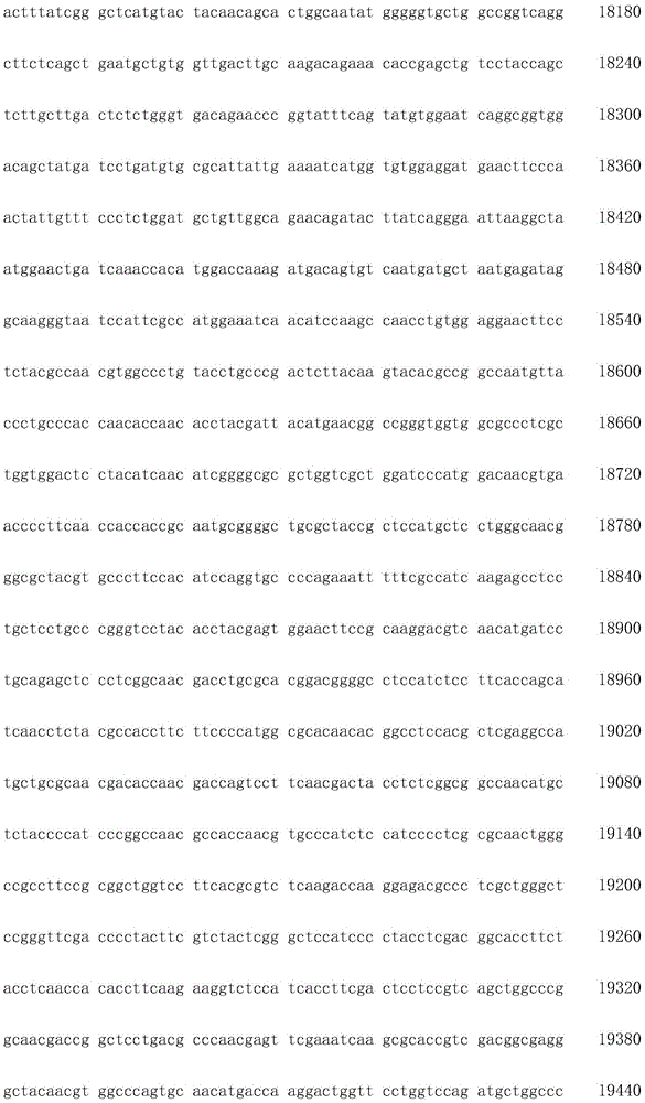 Figure IDA0002872168960001951