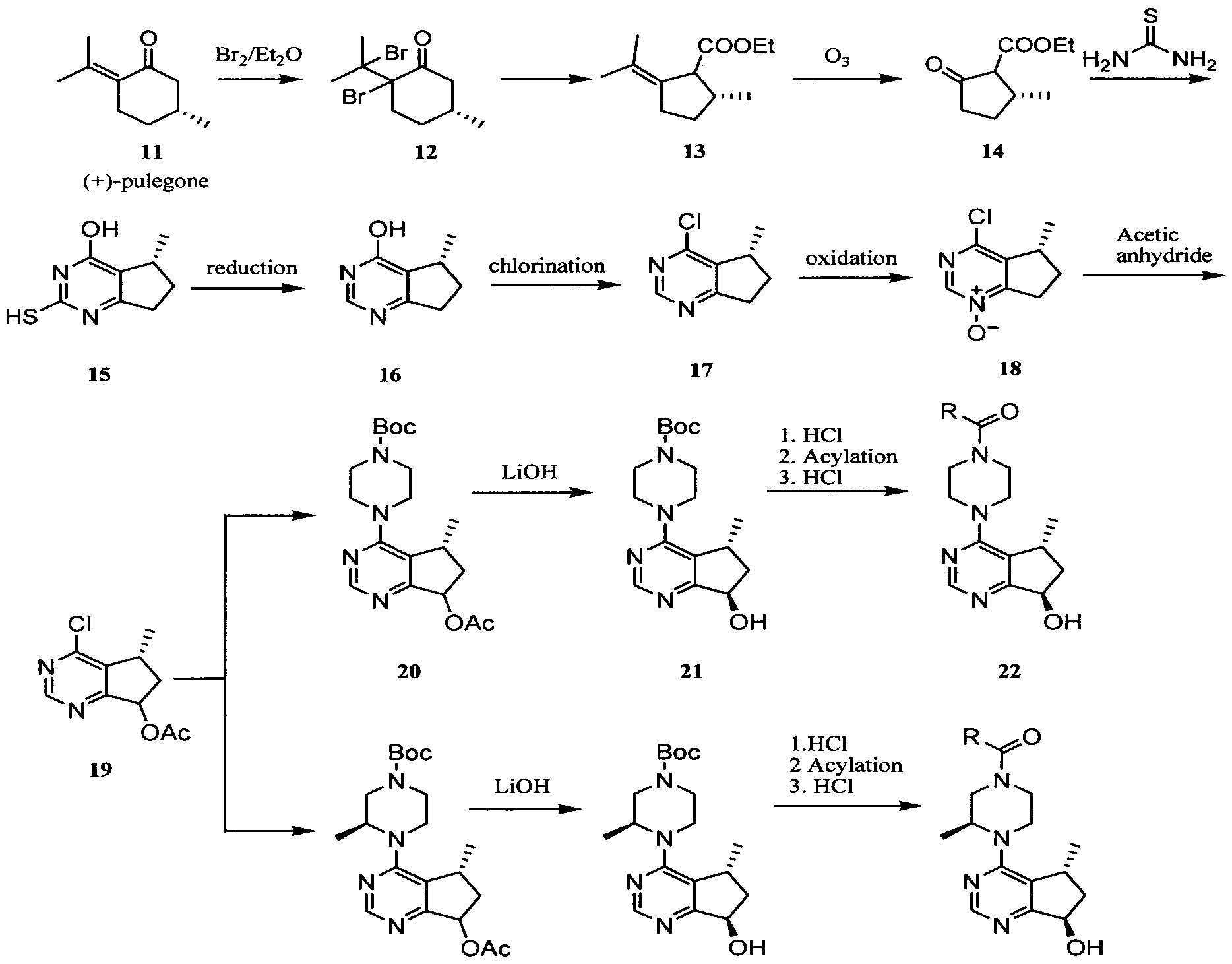 Figure imgf000019_0001