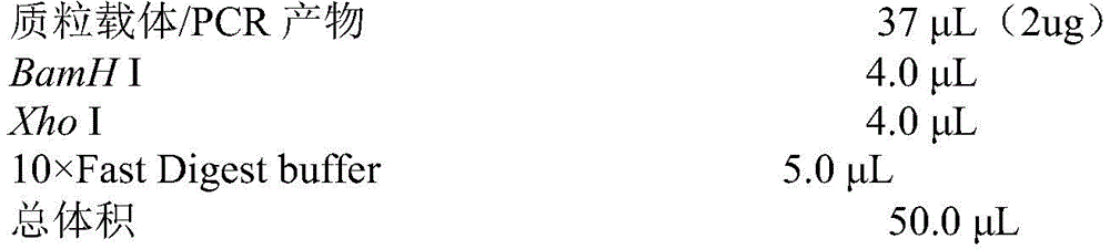 Figure BDA0003637730690000084