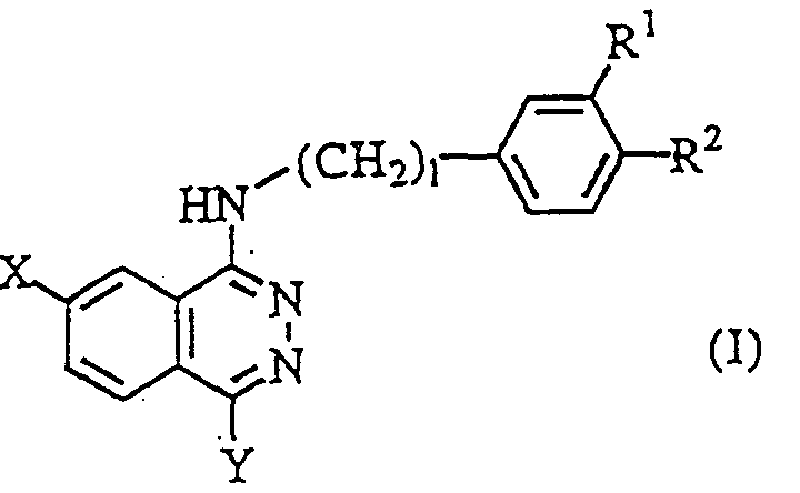 Figure imgf000005_0001