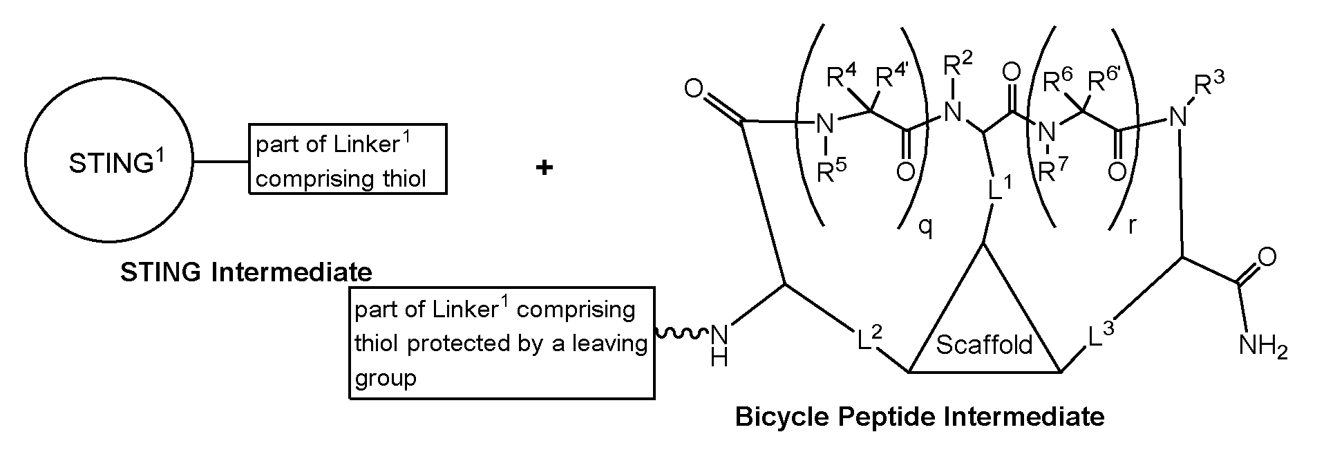 Figure imgf000177_0001