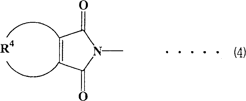 Figure C2004800246930003C1