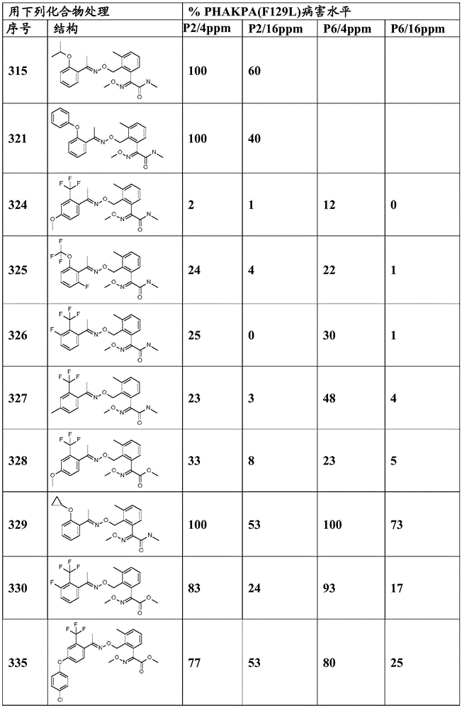 Figure BDA0003914530940001201
