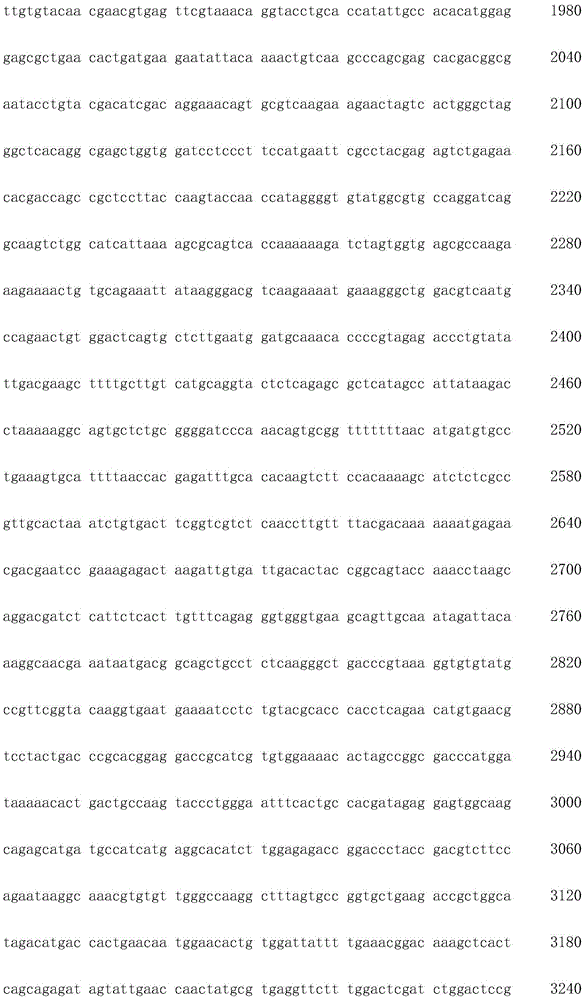 Figure IDA0002872168960002131