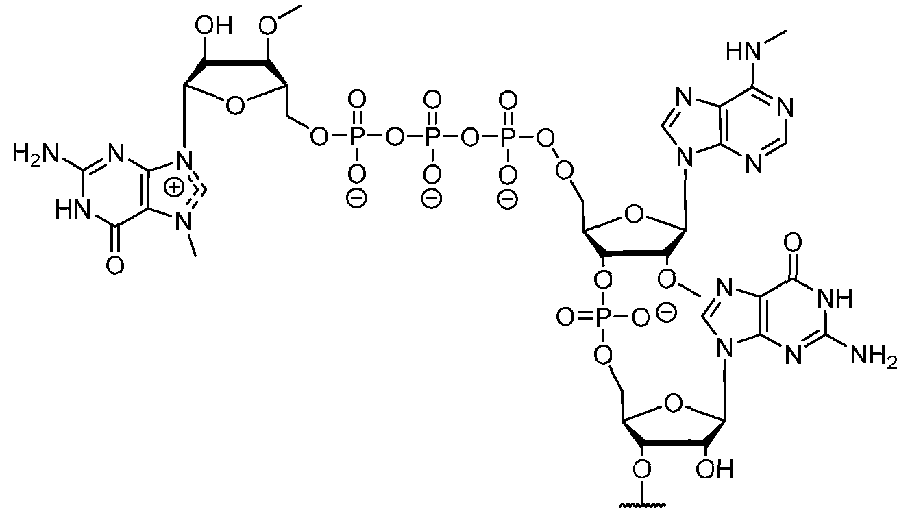 Figure imgf000135_0002