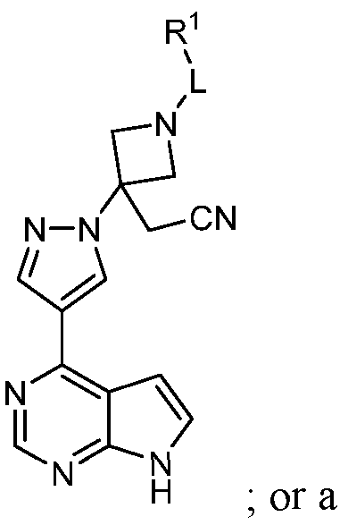 Figure imgf000010_0001