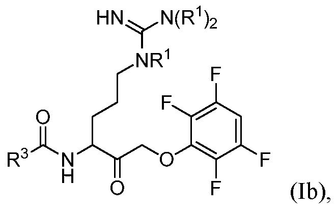 Figure imgf000082_0001