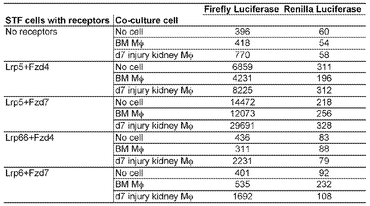 Figure imgf000023_0001