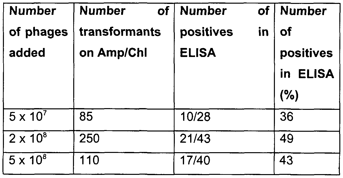 Figure imgf000025_0002