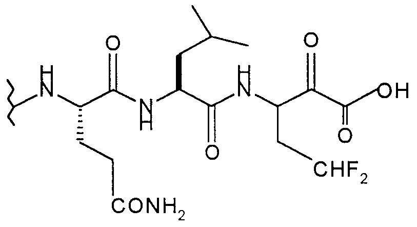 Figure imgf000023_0002