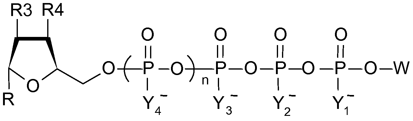 Figure imgf000036_0001