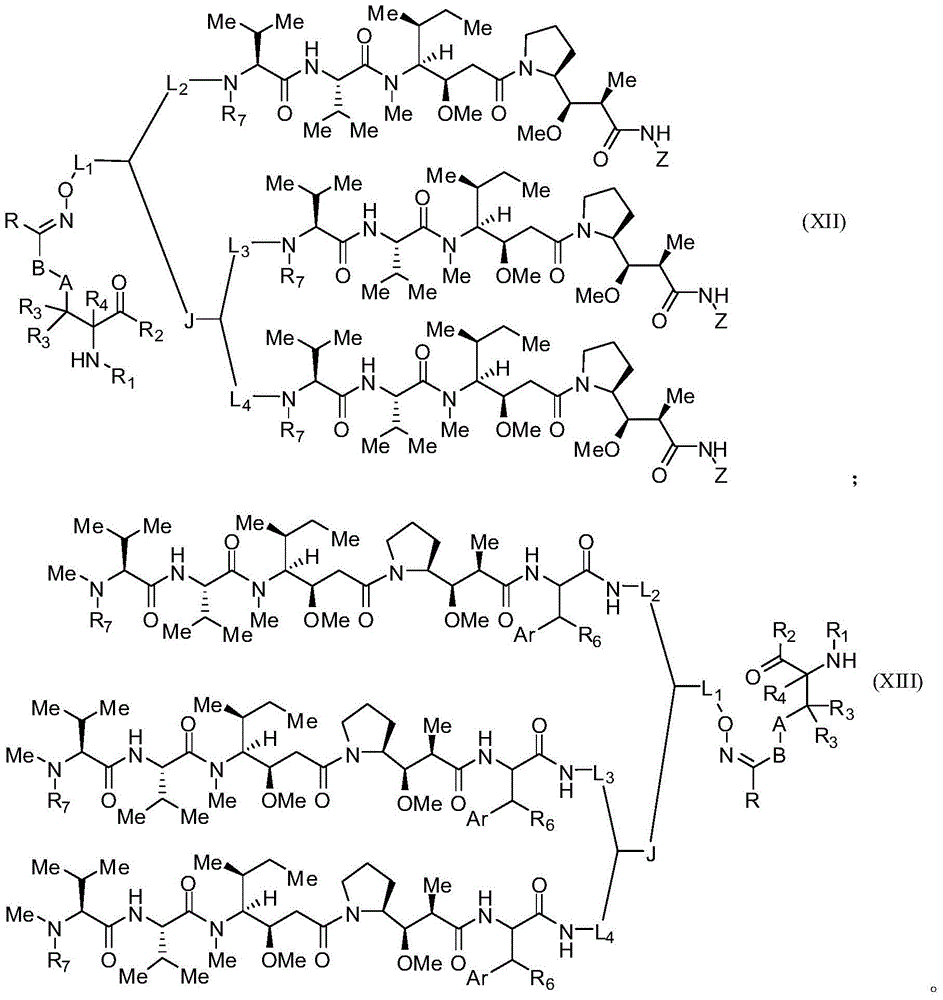 Figure BDA0000672139580000211