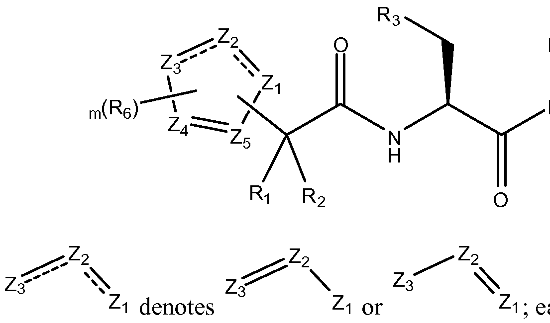 Figure imgf000018_0001