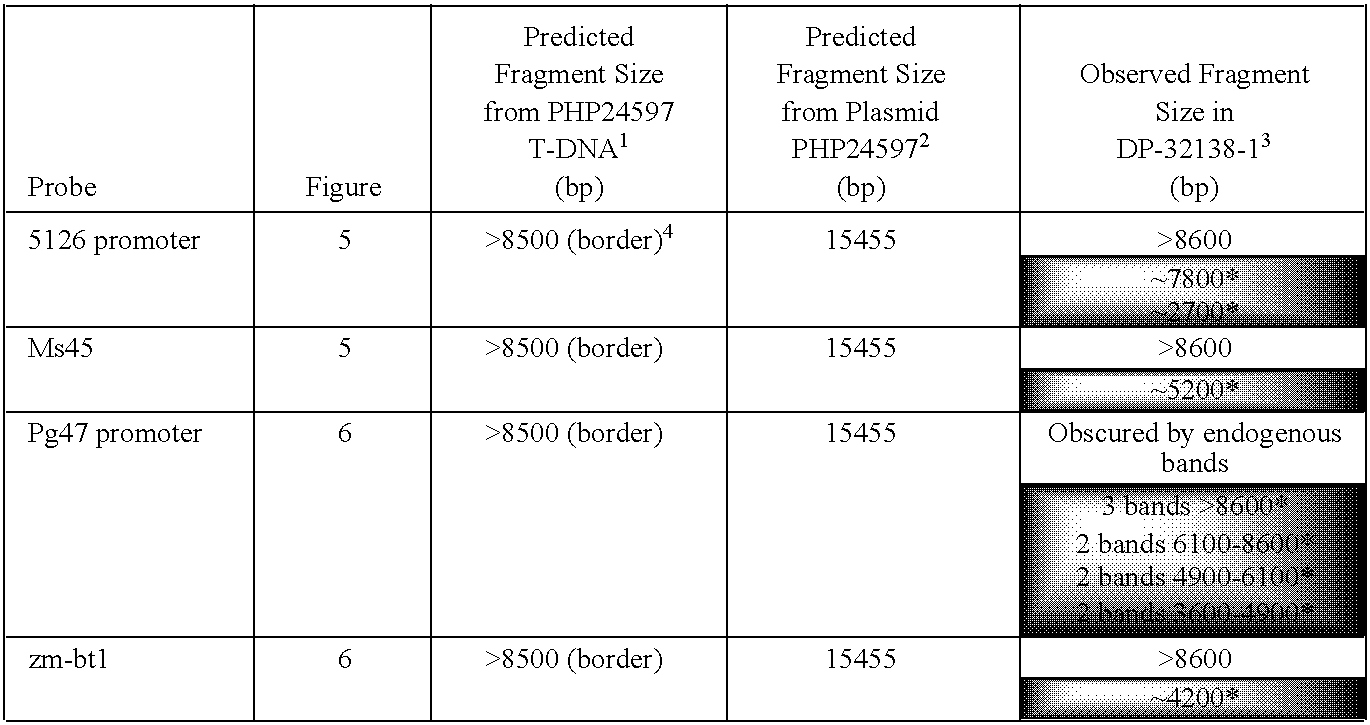 Figure US20090210970A1-20090820-C00001