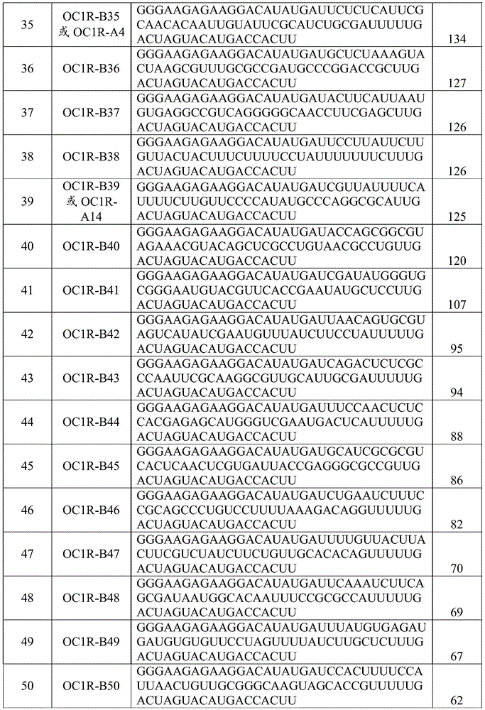 Figure BDA0002402678590000421
